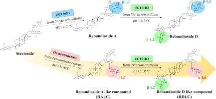 Bioconversion and characteristics of the rebaudioside D-like compound by glucosyltransferases combination