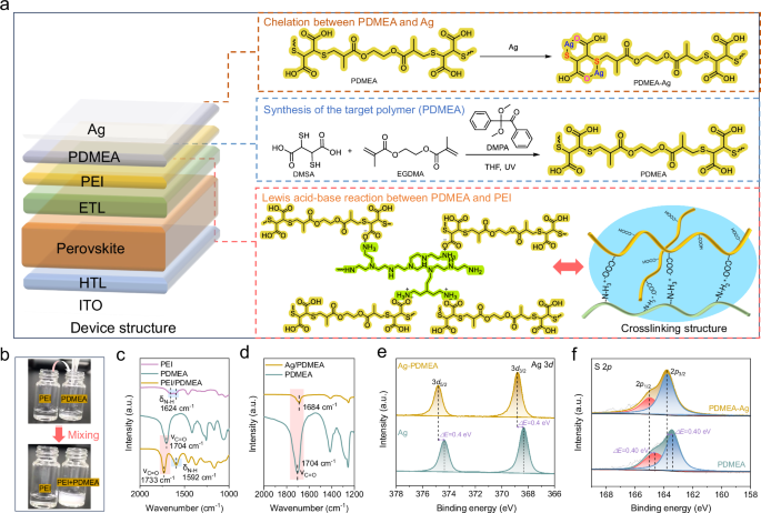 Cross-linked multifunctional bilayer polymer buffer for enhanced efficiency and stability in perovskite solar cells