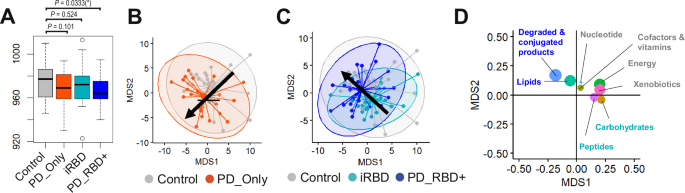 Enrichment of gut-derived metabolites in a Parkinson’s disease subtype with REM sleep behavior disorder