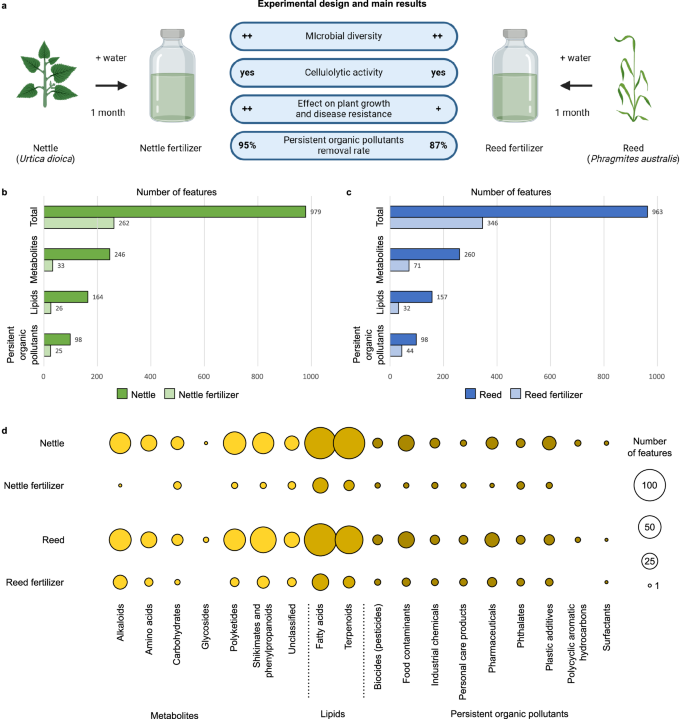 Microbial bioremediation of persistent organic pollutants in plant tissues provides crop growth promoting liquid fertilizer