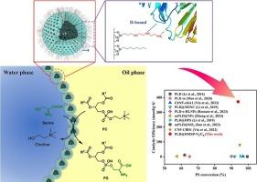 Enhanced Pickering interfacial biocatalysis in phosphatidylserine synthesis via phospholipase D immobilization with optimized bifunctional strategy