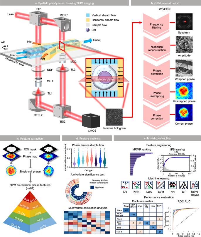 Spatial microfluidic holographic integrated platform for label-free and high-dimensional analysis of cancer heterogeneity