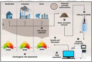 Assessing PAH contamination in Brazilian urban soils: Eco-friendly microextraction for source identification and risk evaluation