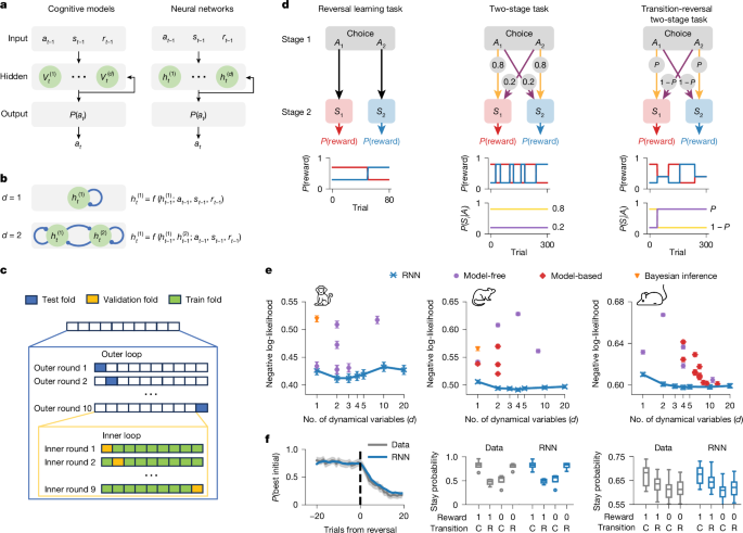 Discovering cognitive strategies with tiny recurrent neural networks