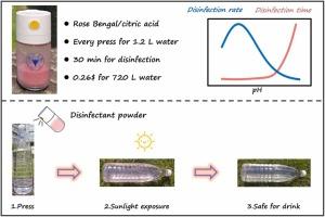 Monoprotonated Rose Bengal: A High-Efficiency Solar Disinfectant for Rapid Escherichia coli Inactivation in Drinking Water