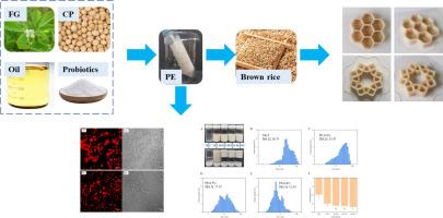 Improvement of Lactiplantibacillus plantarum stability and quality of 3D-printed brown rice by chickpea protein and fenugreek gum stabilized Pickering emulsions