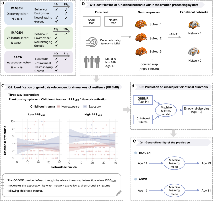 Genetic risk-dependent brain markers of resilience to childhood Trauma