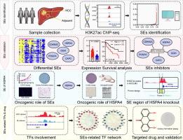 Redistribution of super-enhancers promotes malignancy in human hepatocellular carcinoma