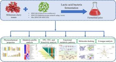 Characterizing metabolites and biotransformation in lactic acid bacteria fermented Millennium cherry tomato juice using integrated analytical tools