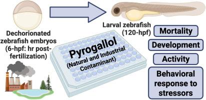 Pyrogallol-mediated acute, developmental, and neurobehavioral alterations investigated using larval zebrafish