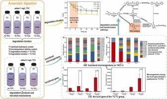 Degradation behavior and mechanism of triclocarban during municipal sludge anaerobic digestion: A study based on DNA-SIP technology