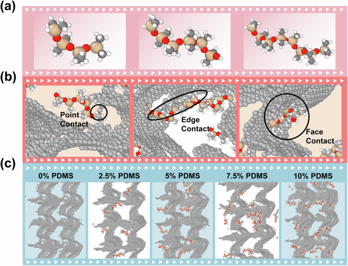 Machine learning-driven molecular dynamics decodes thermal tuning in graphene foam composites
