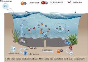 Varied influence of aged microplastics and related leachates on phosphorus transformation and release from the sediments