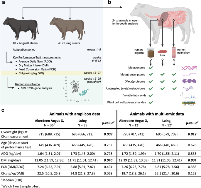 Protozoal populations drive system-wide variation in the rumen microbiome