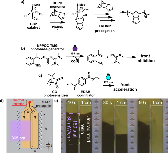 Active light-controlled frontal ring-opening metathesis polymerization