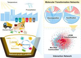 Microbial-mediated transformation shapes the molecular diversity of landfill leachate under anthropogenic and natural covariation
