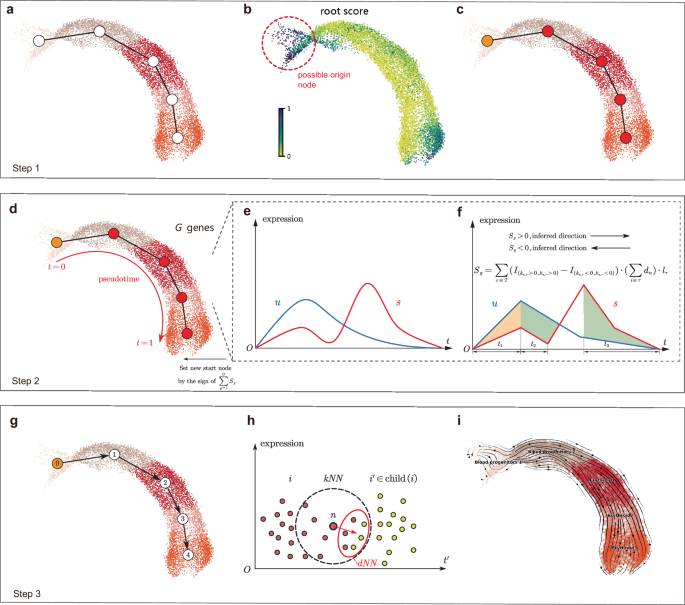 TIVelo: RNA velocity estimation leveraging cluster-level trajectory inference
