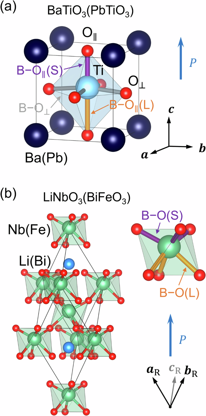 First principles study of dielectric properties of ferroelectric perovskite oxides with extended Hubbard interactions