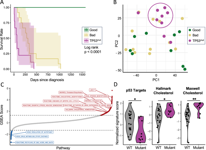 Chemoresistance of TP53 mutant acute myeloid leukemia requires the mevalonate byproduct, geranylgeranyl pyrophosphate, for induction of an adaptive stress response