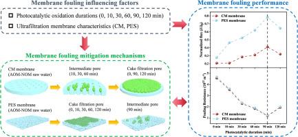 Ultrafiltration membrane fouling mitigation mechanism induced by algal and natural organic matters: Dependence of photocatalysis pre-oxidation degree and membrane properties
