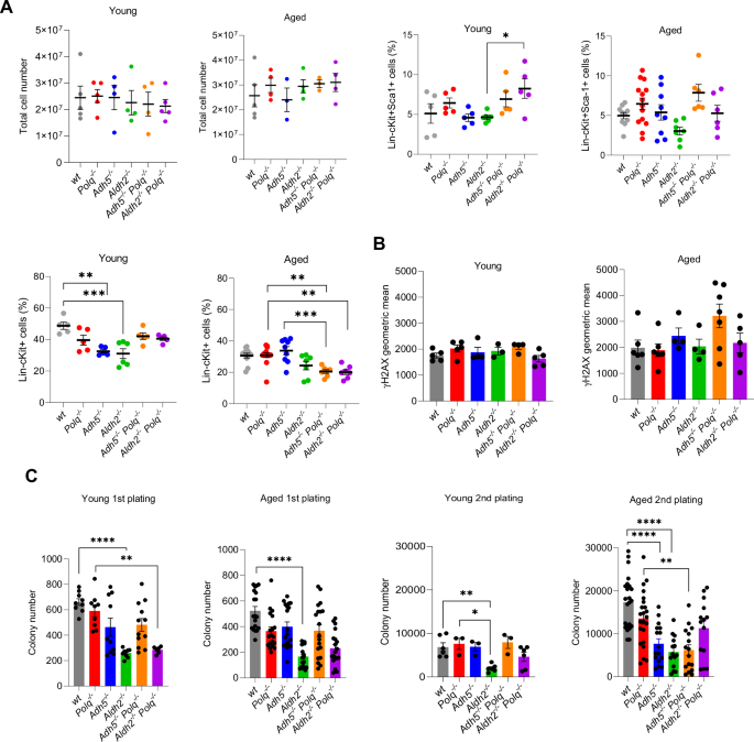 ADH5/ALDH2 dehydrogenases and DNA polymerase theta protect normal and malignant hematopoietic cells from formaldehyde challenge: therapeutic implications
