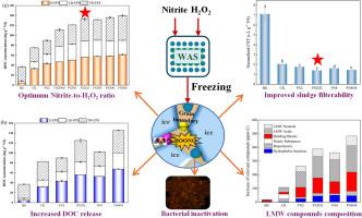 Freezing-Activated Oxidation with Nitrite and H2O2 for Efficient Waste Activated Sludge Solubilization and Filterability