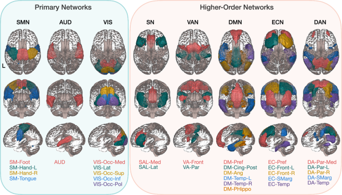 Functional development of the human cerebellum from birth to age five