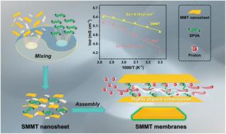 A dual-constrained assembly strategy of highly aligned two-dimensional montmorillonite membranes for efficient proton transport†