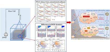 Impact of long-term submerge-emerge alternation on the fate of per- and polyfluoroalkyl substances (PFASs) in sediment-water systems: Insight from dissolved organic matter