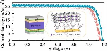 Improving buried interface contact by diphenylphosphine oxide substituent for highly efficient inverted perovskite solar cells