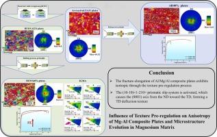 Influence of texture pre-regulation on anisotropy of Mg/Al composite plates and microstructure evolution in magnesium matrix