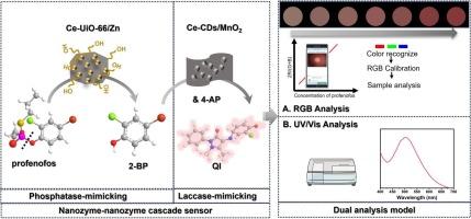 Construction of phosphatase- and laccase-mimicking Cascade catalysis for ultrasensitive colorimetric detection of Profenofos