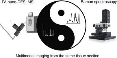 Multimodal mass spectrometry - Raman imaging reveals solvent dependent structural and chemical tissue alterations
