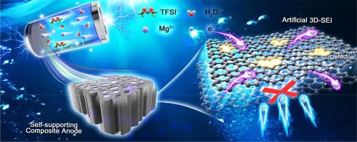 Self-supporting composite anodes with three-dimensional network by wood-derived hard carbon in rechargeable metallic magnesium batteries