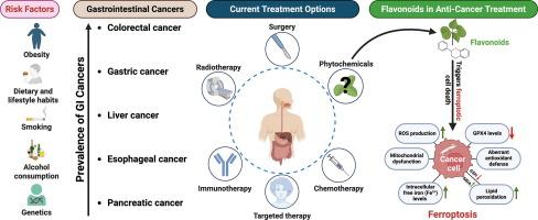 Flavonoid-mediated modulation of ferroptosis: therapeutic potential in gastrointestinal cancers
