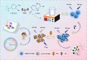 Exploration of the fluorine−fluorine interaction mechanism in fluoroquinolone antibiotics recognition and ciprofloxacin detection on the basis of fluorine−doped carbon quantum dots and machine learning