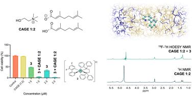 Choline–geranate (CAGE) ionic liquids potentiate the anticancer activity of platinum-based drugs†