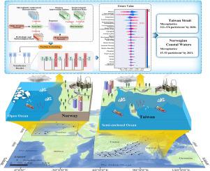 Multi-scenario simulation of future marine microplastic distribution under data scarcity: A deep learning approach