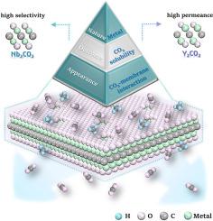 Revolutionary insights into CO2 solubility in nanoporous MXenes: Atomic-Scale revelations in CO2/CH4 separation and permeance optimization