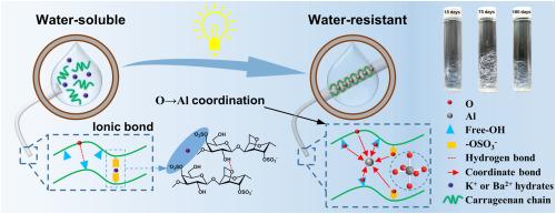 Water-resistance of iota-carrageenan fibers enhanced by aluminum-ion coordination crosslinking