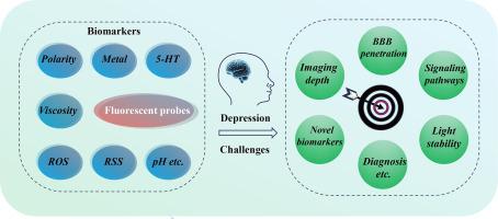 Recent advances and perspectives of small molecule fluorescent probes imaging in depression research