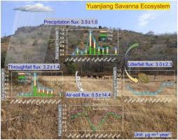 Climate-driven mercury dynamics in a tropical savanna: Low uptake, pulsed emissions, and weak sequestration