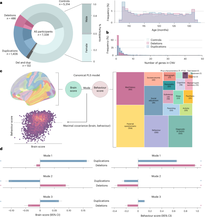 A pattern-learning algorithm associates copy number variations with brain structure and behavioural variables in an adolescent population cohort
