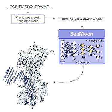 SeaMoon: From protein language models to continuous structural heterogeneity