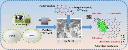 Turning nitrogen vacancy and chemisorption sites by co-doping Na and N into cow dung biochar ultrathin nanosheets for removal of oxytetracycline