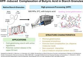Complex of butyric acid with the amorphous region of starch granules via high-pressure processing