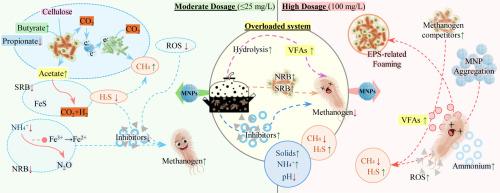 Mitigating overload-induced stress in anaerobic digestion: long-term performance and fate of nano magnetite additives