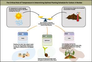 The critical role of temperature in determining optimal planting schedule for cotton: A review