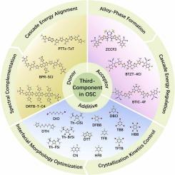 Third-component engineering in organic solar cells: Material innovations, morphological control, and synergistic enhancement