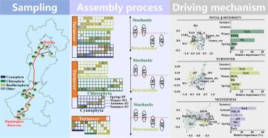 Phytoplankton community assembly in an inter-basin water diversion project: Dominance of temporal dynamics over spatial dynamics